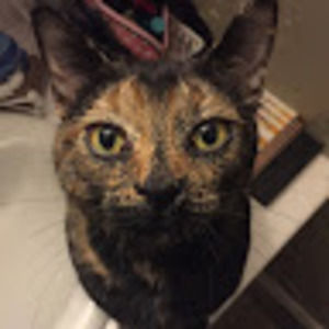 Meet your Posher, Tawnya